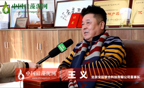专访宝辰联合总裁王义