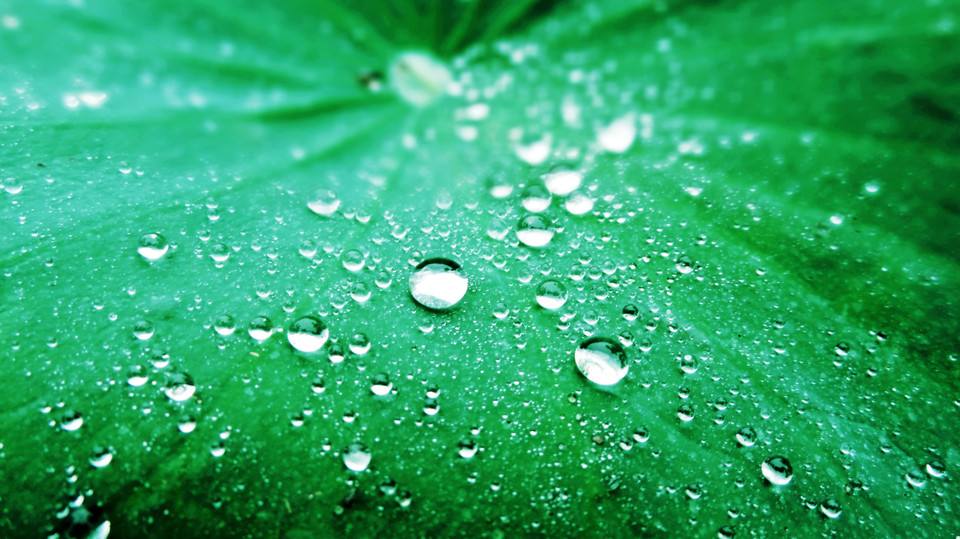 防水砂浆